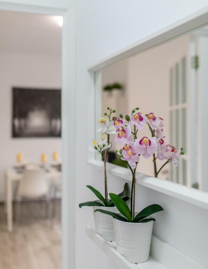 Santa Cruz Downtown Apartment Luaran gambar